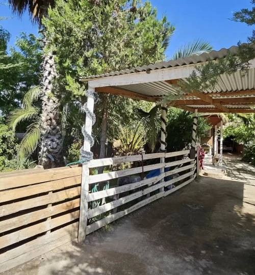 parcela maria pinto - alvarez11