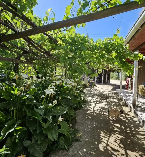 parcela maria pinto - alvarez13