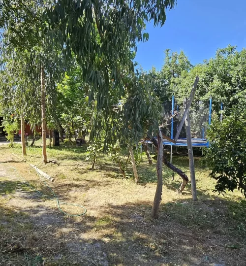 parcela maria pinto - alvarez18