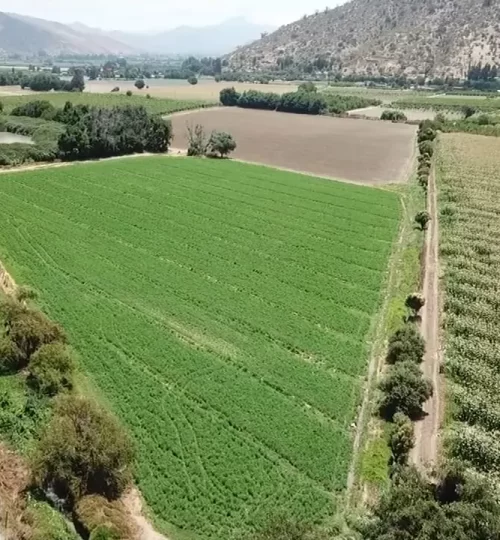 sitio curacavi-labra2