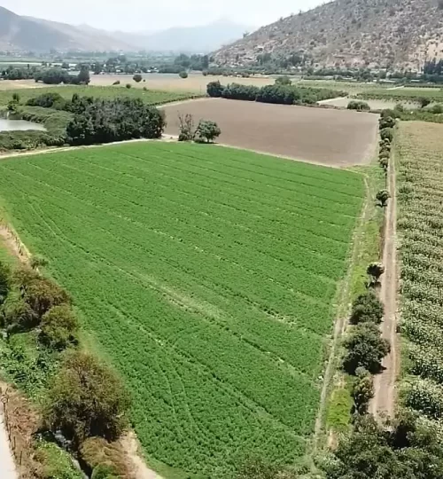 sitio curacavi-labra3