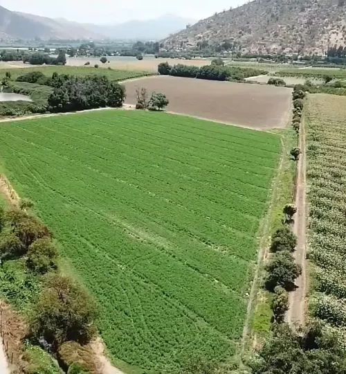 sitio curacavi-labra5 (1)