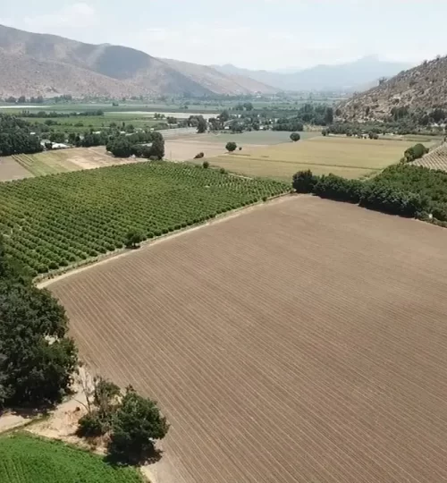 sitio curacavi-labra6