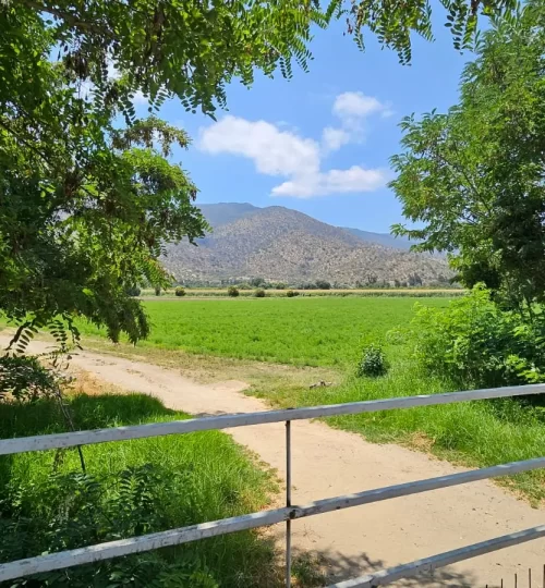 sitio curacavi-labra7