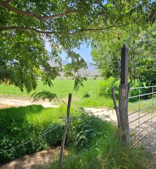 sitio curacavi-labra8