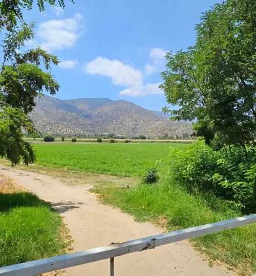 sitio curacavi-labra9